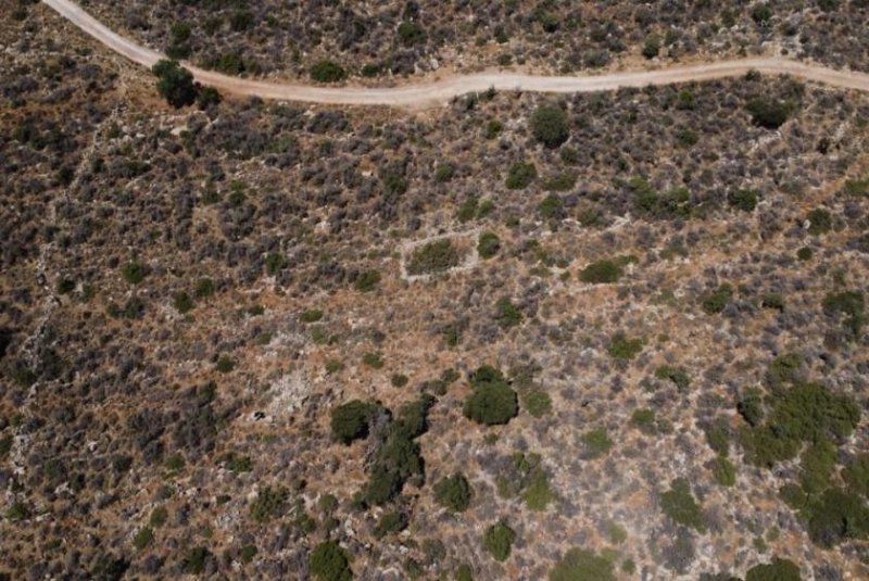 Kokkino Chorio Kreta, Kokkino Chorio: Ruhiges Hanggrundstück mit ewigem Meerblick zu verkaufen Grundstück kaufen
